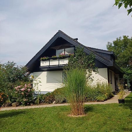 Ferienwohnung Sylvia Michelstadt Dış mekan fotoğraf