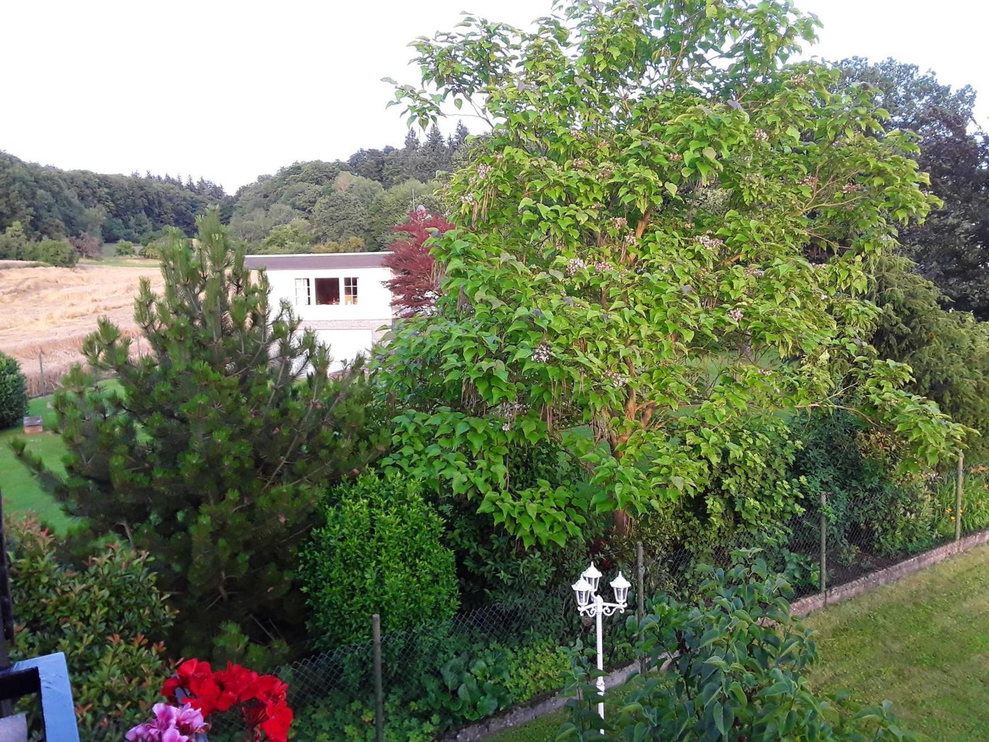 Ferienwohnung Sylvia Michelstadt Dış mekan fotoğraf