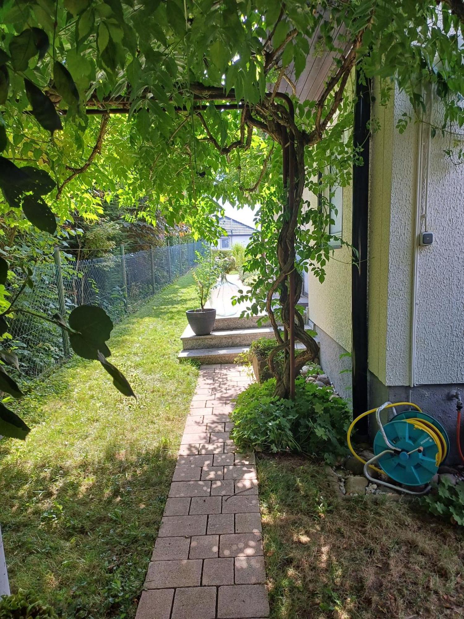 Ferienwohnung Sylvia Michelstadt Dış mekan fotoğraf